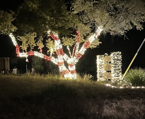 Candy Cane Tree