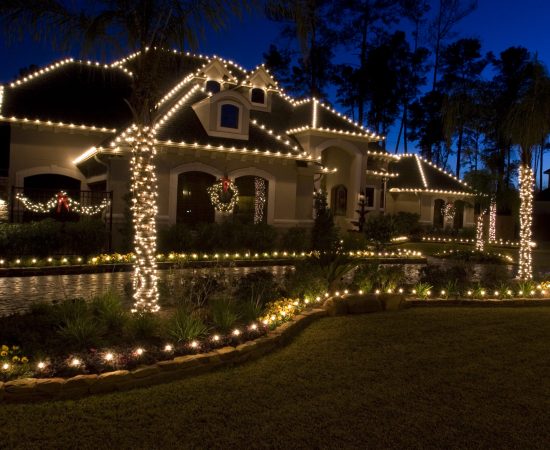 Christmas Photos-Gittings 006